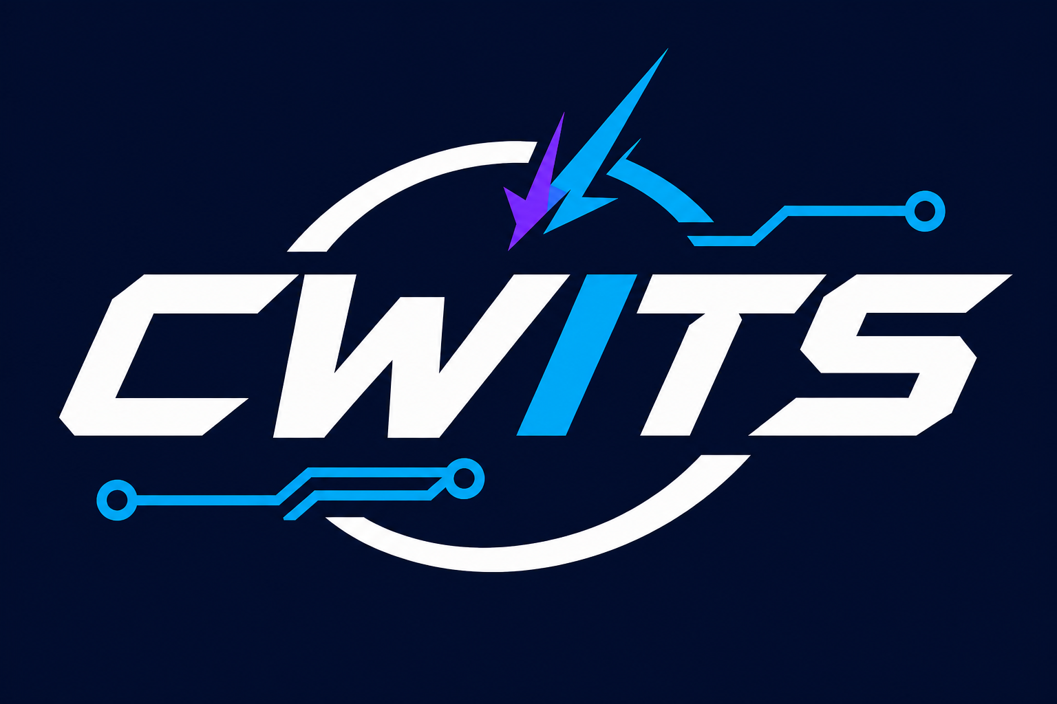 CW IT Solutions LLC